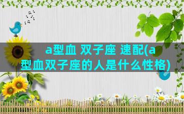a型血 双子座 速配(a型血双子座的人是什么性格)